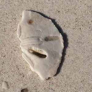 Meet your Posher, Pam